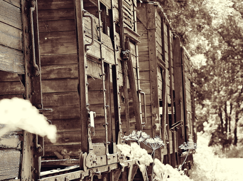 wood, air pollution, wagon, architecture, retired, snow, cemetery, city, wooden trains, 4K, rotted trains, weathered, industry, decay, land vehicle, abandoned