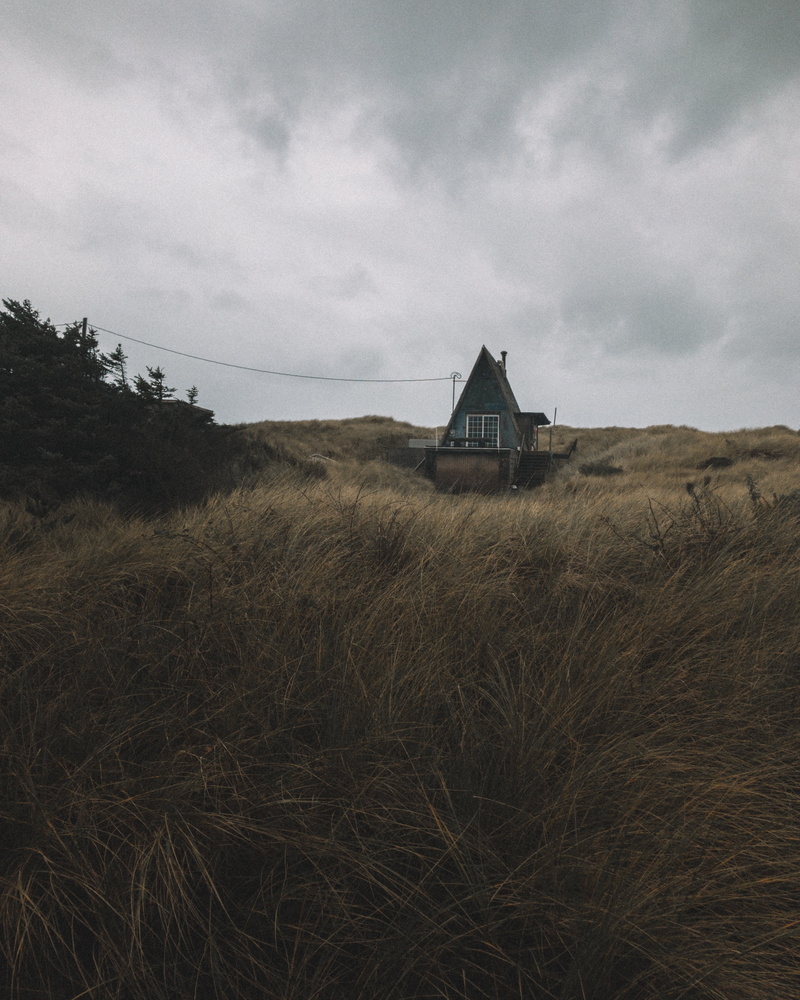 surrounded, sky, cloud - sky, gray, outdoors, residential district, plant, trees, dark, nature, growth, 2K, no people, farmhouse, land, grasses, abandoned