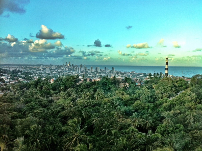 forest, Olinda, brazil, land, nature, jungle, sea, horizon, no people, water, tranquility, buildings, tree, outdoors, city, sky, day, plant, beach, scenics - nature