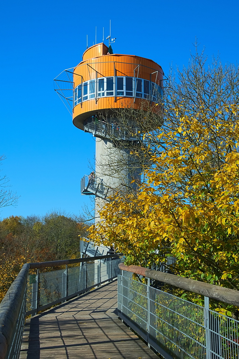 built structure, no people, observation tower, 5K, protection, sky, security, architecture, safety, clear sky, autumn forest, emerge, blue, colorful leaves