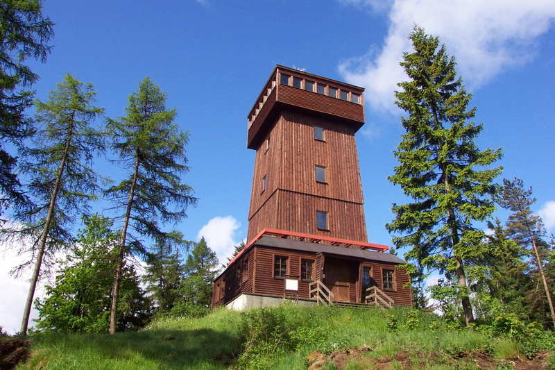 architecture, day, land, nature, built structure, cloud - sky, tower, observation tower, blue, building exterior, sky, pine tree, forest, outdoors, chapel hill