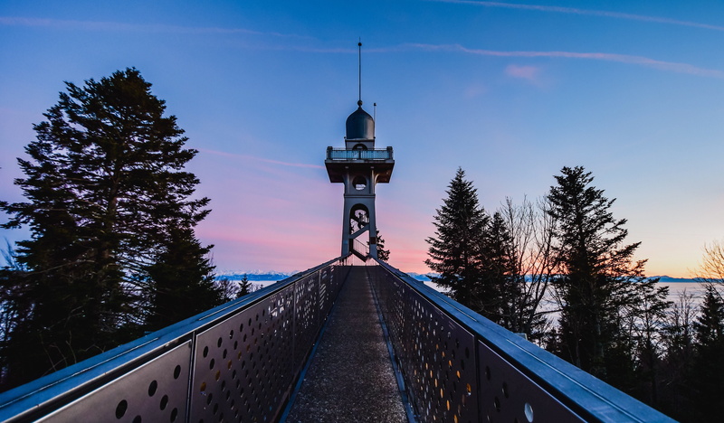 no people, railing, observation, bridge - man made structure, connection, nature, direction, blue, 5K, built structure, tree, the way forward, sky, tower