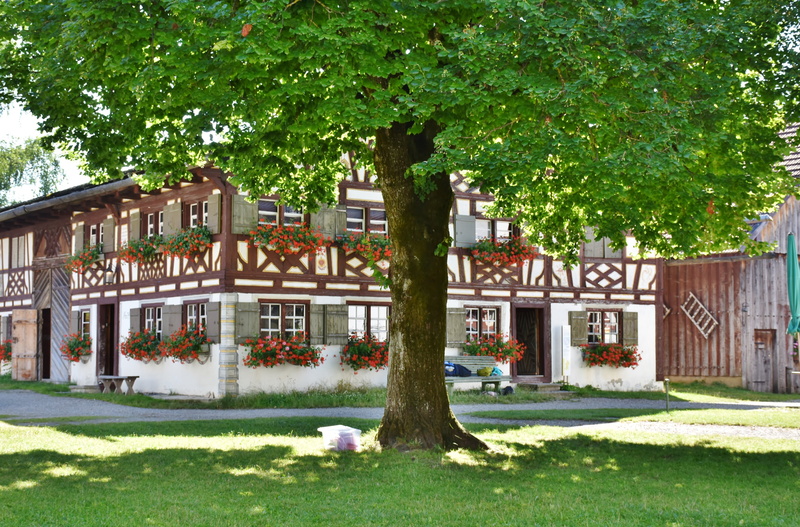 white, past, house facade, sunlight, farm, history, old tree, roof, at that time, old, front or back yard, old masonry, formerly, memories, green, near