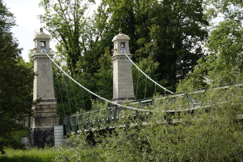 tree, cable bridge, lake constance, railing, rope bridge, built structure, building, no people, architecture, building exterior, plant, green color, low angle view