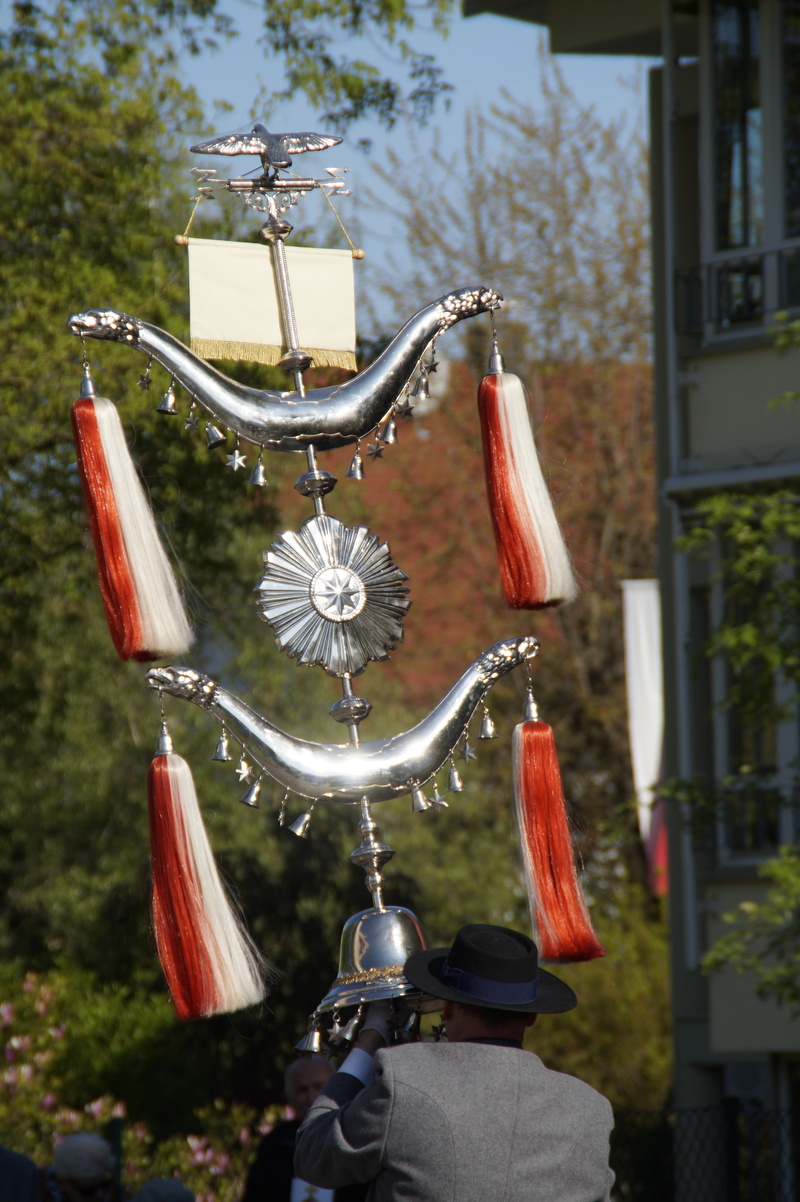 musician, nature, pageant, metal, growth, sunlight, human, 5K, instrument, tree, upper swabia, costume, men, street festival, lighting equipment, hanging