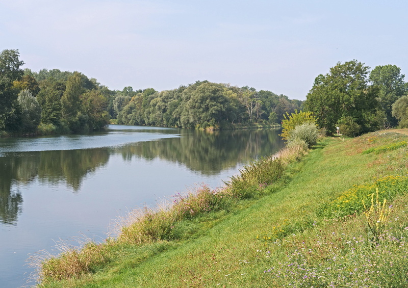 tranquil scene, non-urban scene, 5K, alps river, plant, danube on the right, scenics - nature, day, the danube ried, sky, flow direction is to the left