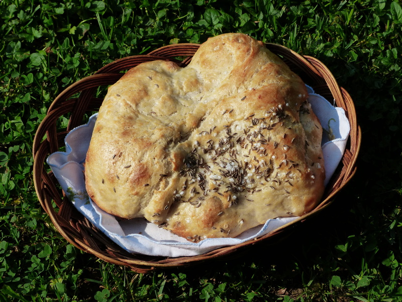 crispy, no people, baguette like, spelt, basket, briegl, baked, salt, bread, local kitchen, swabian, container, knauzen, meat, upper swabian, 4K, plant
