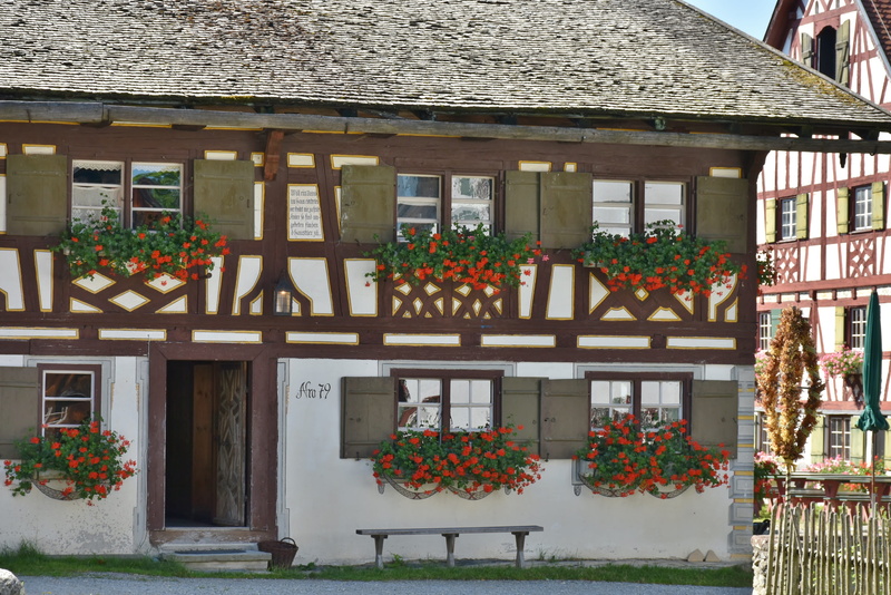 historic home, nature, Swabia, Old, nostalgic, entrance, built structure, day, potted plant, culture, growth, wood, roof, decoration, window box, outdoors