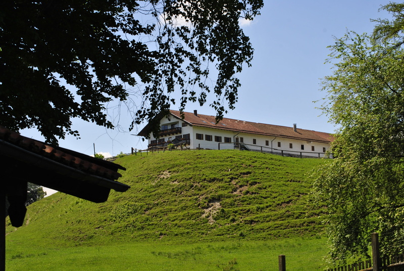 country life, place of worship, grass, land, no people, mother goat, architecture, kid, building exterior, small goat, outdoors, domestic goat, plant, house