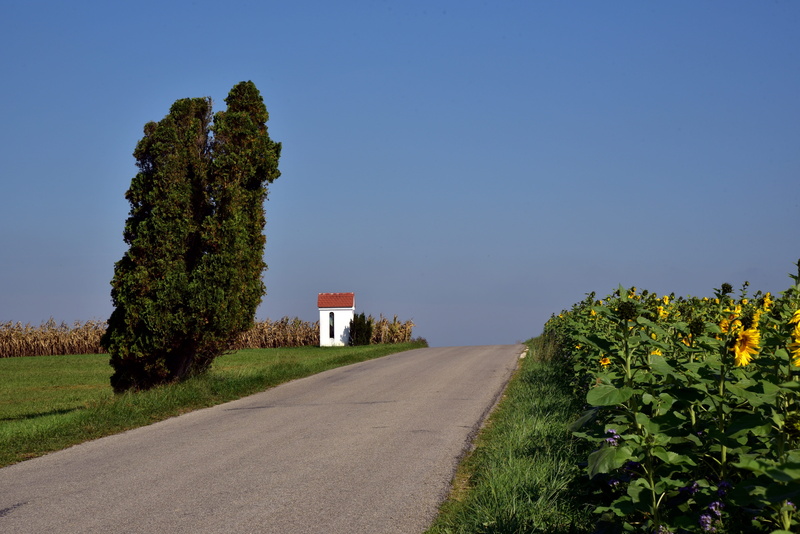 direction, no people, tradition, swabia, tranquility, outdoors, land, small, summer, landscape, trees, field, rural scene, chapel, asphalt, transportation
