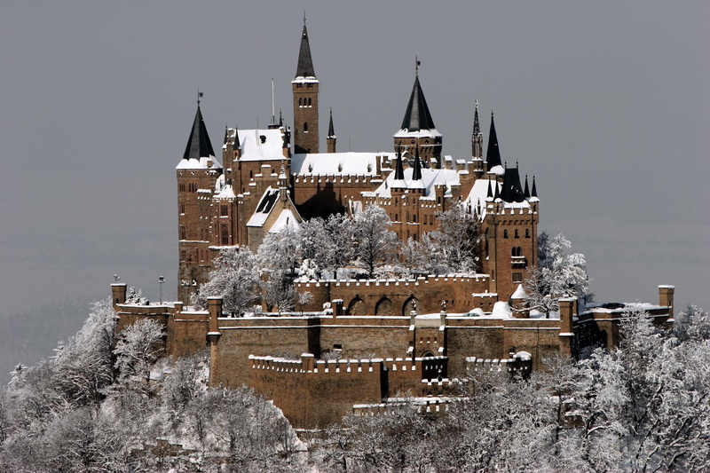 winter, animals, 2K, germany, snow, architecture, hohenzollern, stuttgart, castle, trees