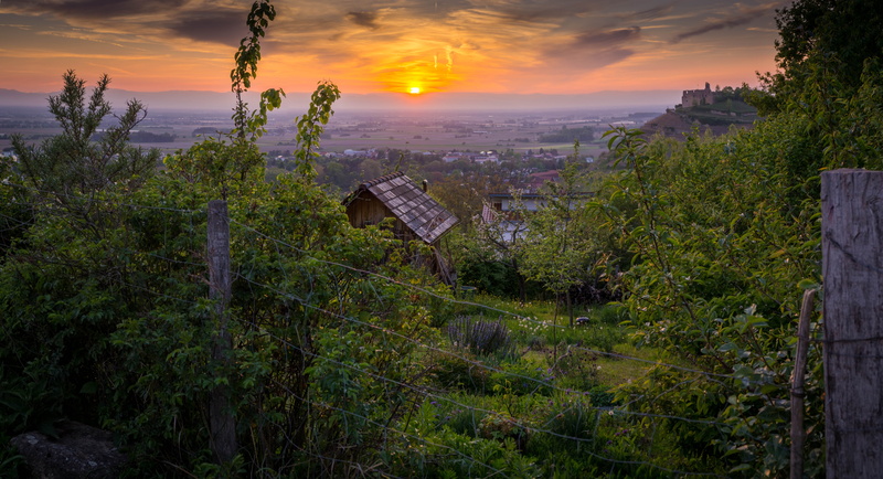 built structure, wettelbrunn, grunern, high angle view, growth, Staufen Im Breisgau, tranquil scene, cloud - sky, land, tranquility, sky, outdoors, baden württemberg