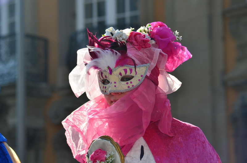 close-up, pink, built structure, venice Carnival, venice, figure, traveling Carnival, panel, stage Costume, city, mardi Gras, italy, plant, pink color
