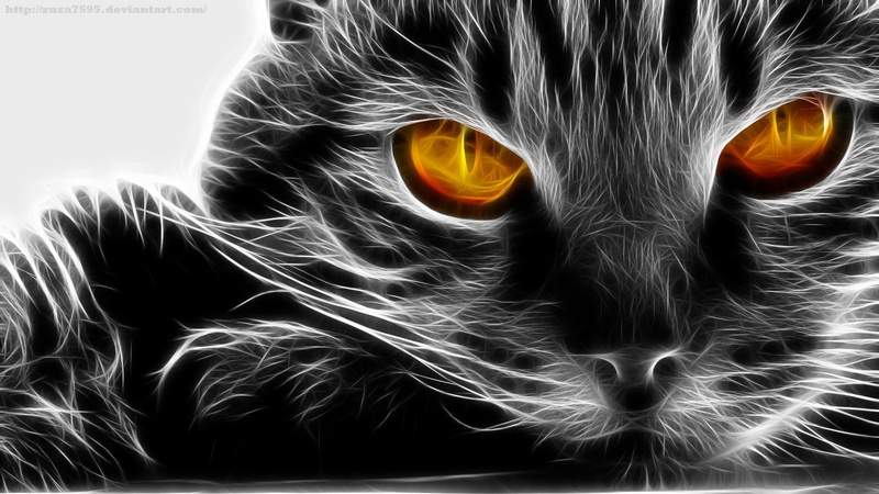 domestic cat, animal themes, indoors, animal body part, orange color, domestic, whisker, pets, looking at camera, no people, cat, portrait, Fractalius