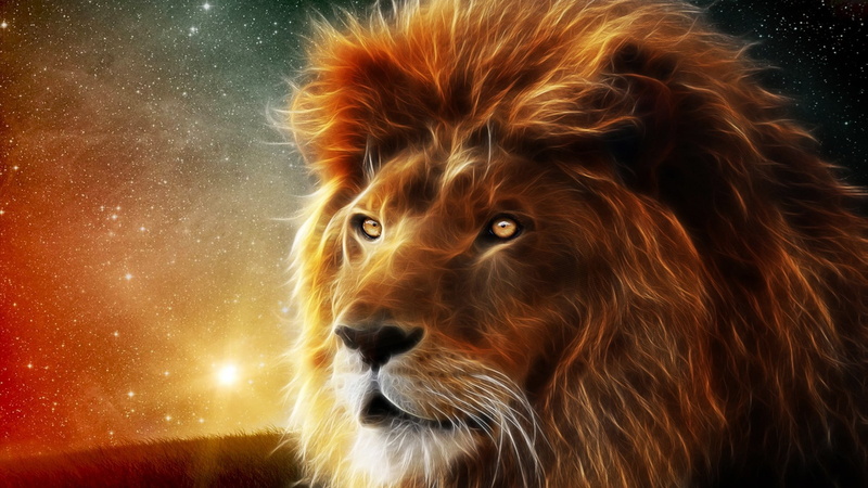 big cats, Fractalius, animals, lion, stars, 1080P