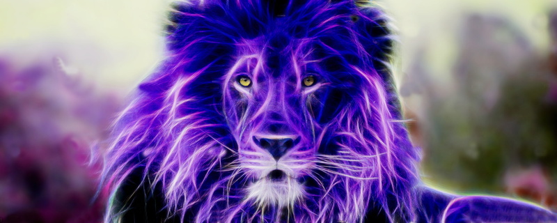 lion, Fractalius, colorful, 2K