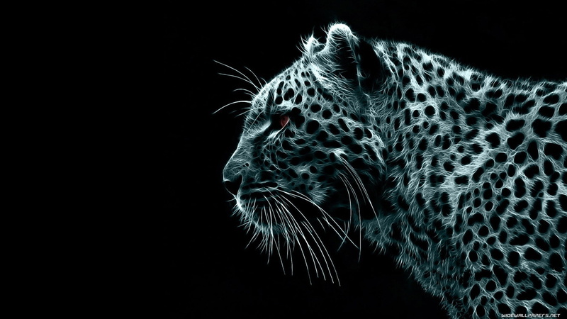 1080P, leopard, digital art, simple background, Fractalius, leopard (animal), animals, black background