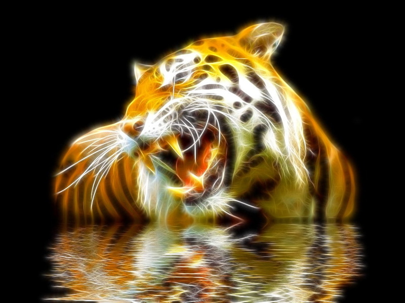nature, tiger, long exposure, animal themes, marine, abstract, animals in the wild, pattern, water, studio shot, animals, indoors, black background, blurred motion
