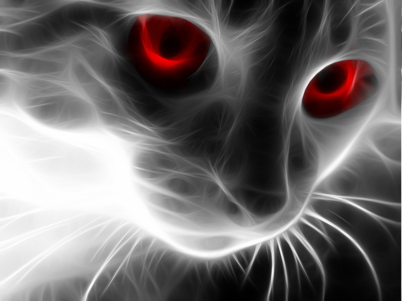 black background, red, digital art, Fractalius, warning sign, sign, cat, spooky, glowing, 720P, fear, abstract, human body part, nature, animal body part
