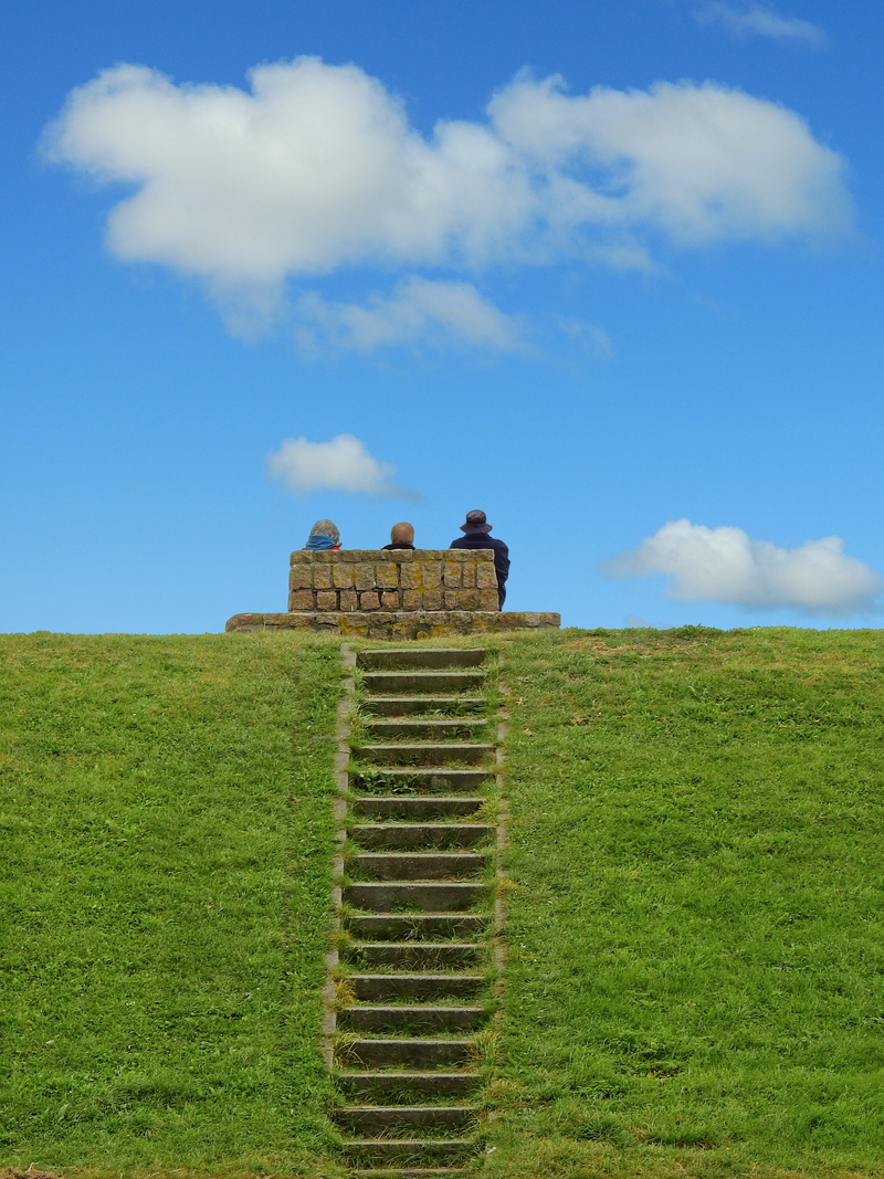 plant, enjoy, benefit from, fresh, 4K, flood protection, environment, no people, ancient, sit, recovery, outdoors, dike, growth, architecture, cloud - sky