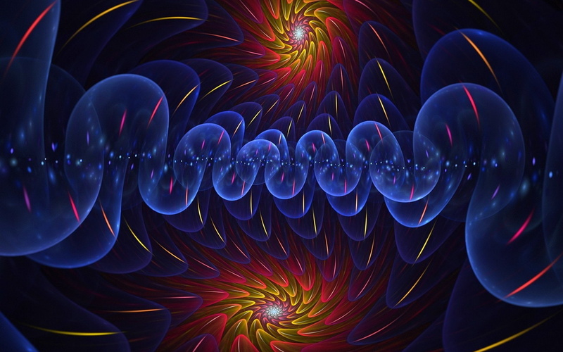 1080P, indoors, invertebrate, graphics, nature, glowing, multi colored, black background, pattern, animals in the wild, psychedelic, sea, illuminated