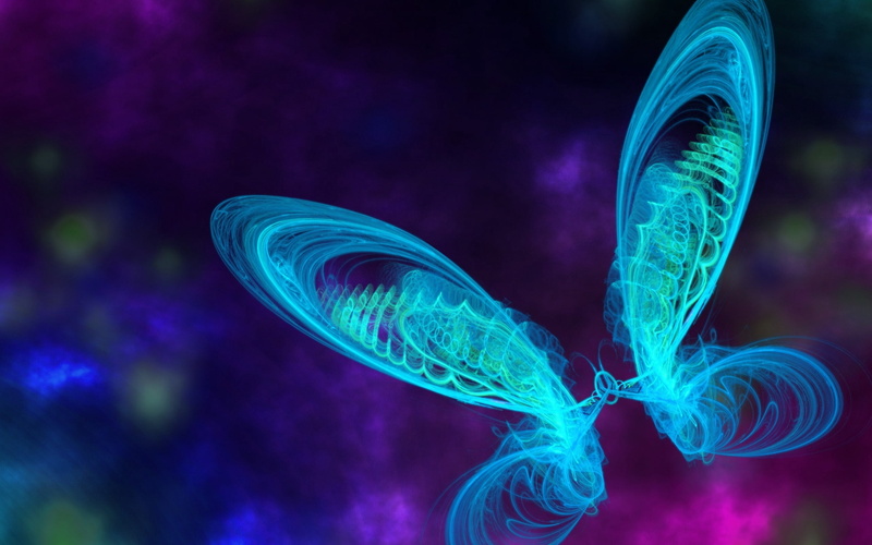 green, multi Colored, animals in the wild, one animal, curve, marine, animal, line, pattern, illuminated, wings, jellyfish, sea life, shape, blue, light