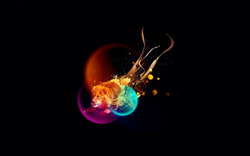 drop, multi Colored, close-up, multicolored rays, lion, heat - Temperature, red, illustration, abstract, 1080P, impact, jellyfish, fire - Natural Phenomenon