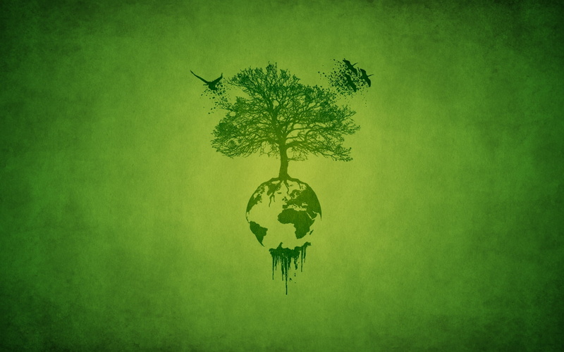 cartography, single object, recycling, damaged, roots, planet - Space, care, shape, growth, birds, plant, land, leaves, green Color, green, copy Space