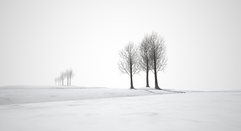 landscape, forest, cold - Temperature, 1080P, frost, phtography, trees, season, sinne, bare, scale, winter, snow, outdoors, tree, nature, gray, white
