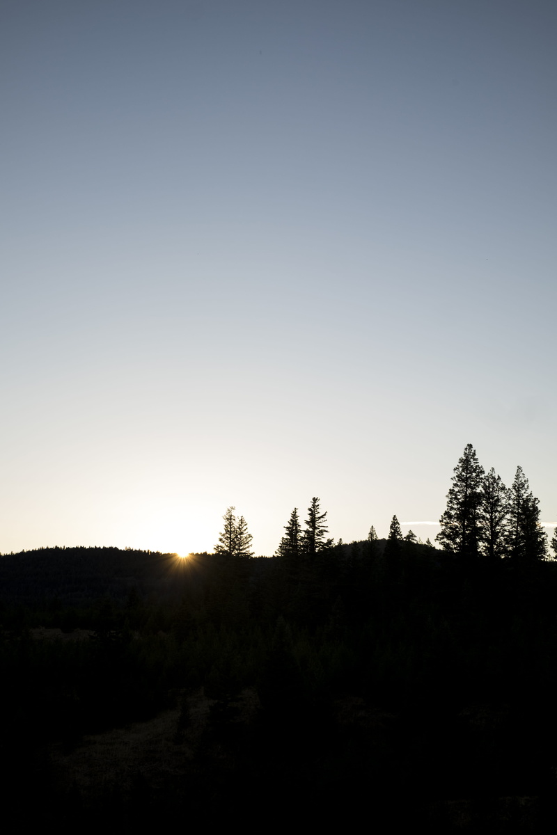 last sunset, land, scenics - nature, 4K, plant, growth, non-urban scene, idyllic, hill, conifer, tranquility, fir, clear sky, landscape, tranquil scene