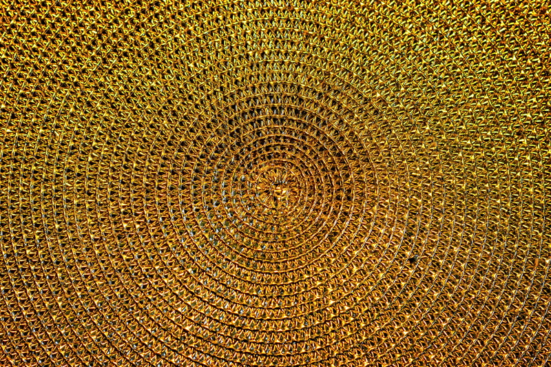 close-up, yellow, no people, noble, plant, full frame, gray, 5K, gold, backgrounds, knitted, cute, tree ring, photo, abstract, close, day, detail, circle
