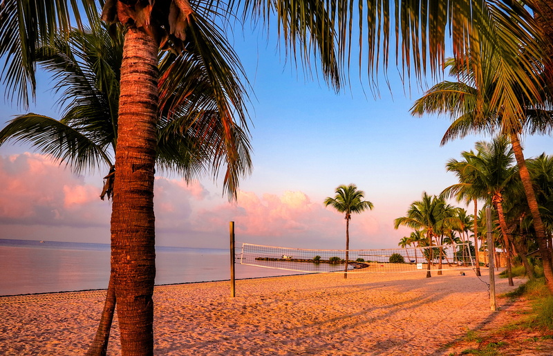 outdoors, tropical climate, the coast, clouds, sunbath, growth, land, coconut palm tree, florida, plant, view, beauty in nature, palm tree, key, sunset