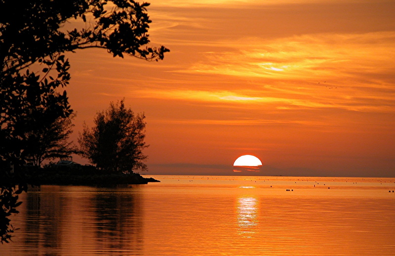 majestic, orange Color, water, tropical, tree, dusk, nature, beauty in nature, 1080P, sunset, ocean, travel, sea, cloud - sky, beach, sunlight, orange sky