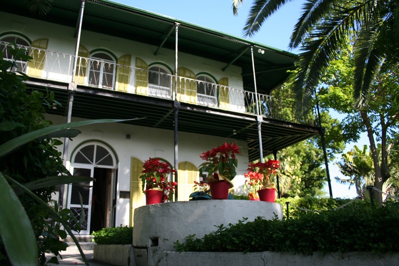low angle view, tree, green color, day, growth, flowering plant, florida keys, nature, no people, architecture, house, sky, potted plant, flower pot, built structure