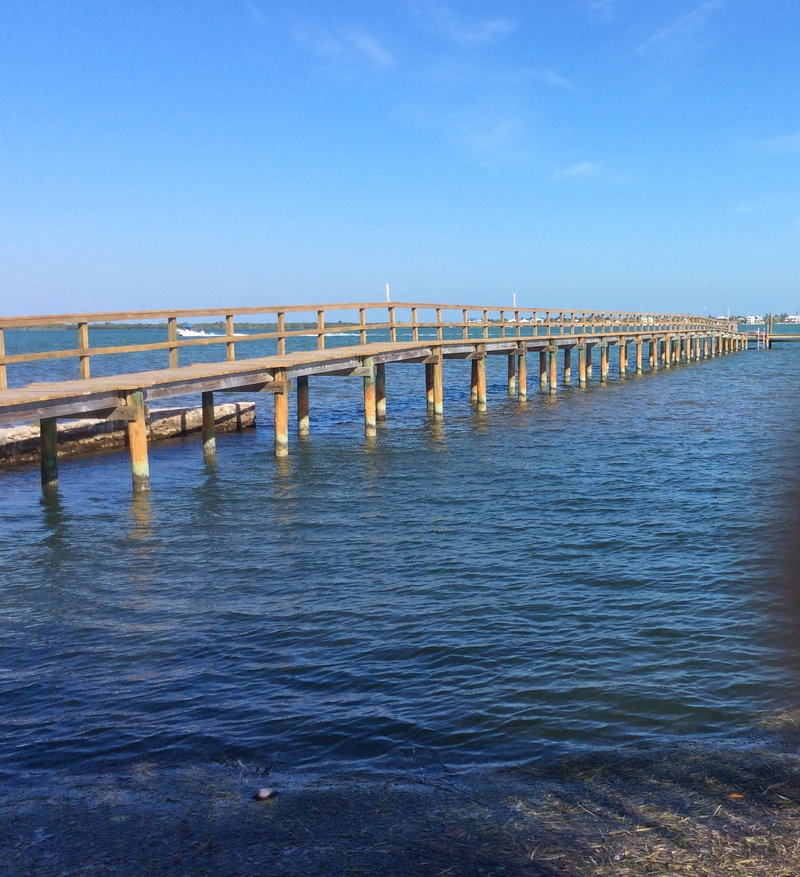 Florida, pier, Key, water, built structure, day, River, wood - material, architectural column, wooden post, in a row, Key, 1080P, architecture, tranquility