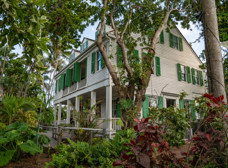 photography, day, buildings, united states, residential district, historic, architecture, sky, leaf, outdoors, window, 5K, key west, green color, no people
