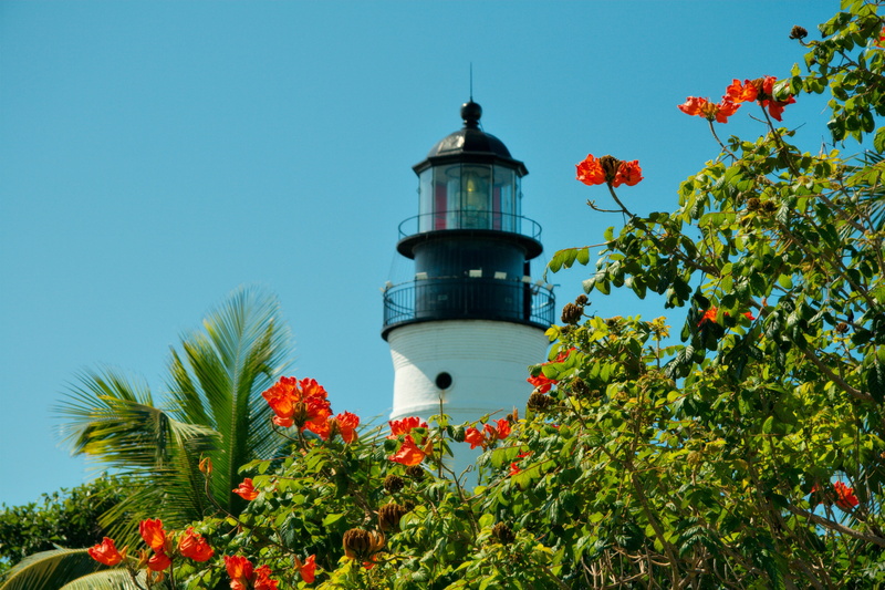 tree, growth, photography, building, tourism, guidance, flowers, trees, key west, black, plants, key, outdoors, florida, tower, day, low angle view, building exterior