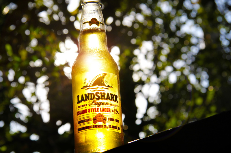 western script, alcohol, container, nature, outdoors, key west, florida, light, keys, drink, label, beer, tree, 4K, usa, summer, refreshment, text, plant