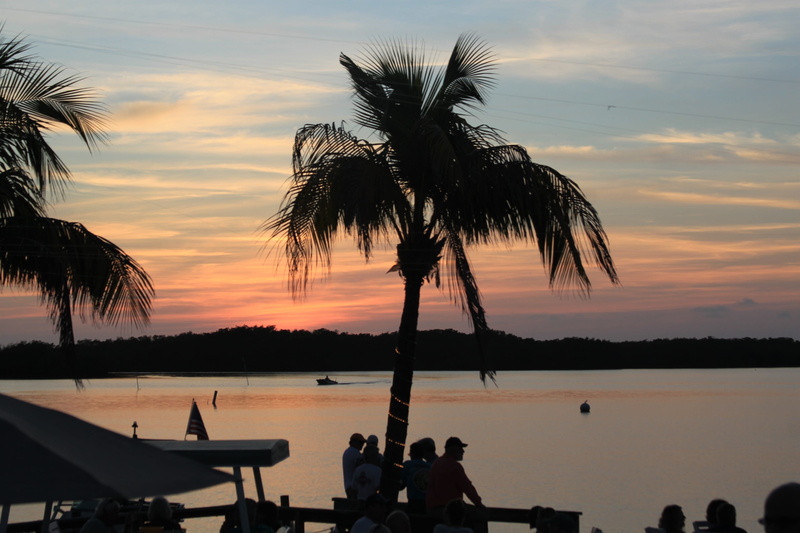 key west, travel, women, Mood, Florida, real people, leisure, sea, palm tree, dusk, growth, outdoors, Water, holiday, atmospheric, sky, nature, scenics - nature
