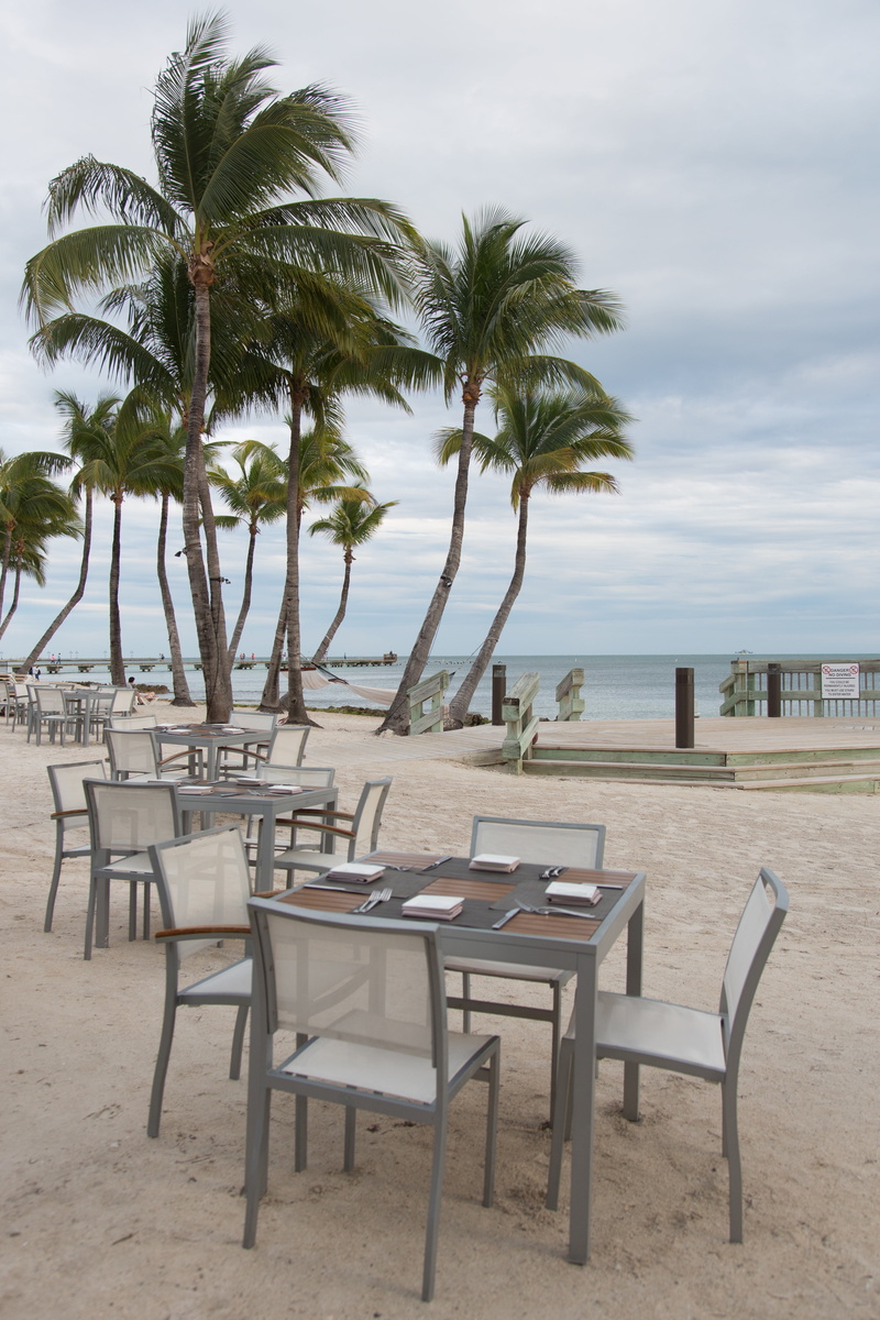 vacations, plant, water, nature, palm trees, sky, palm tree, empty, chair, tourist Resort, day, key west, table, absence, summer, land, beach, destination