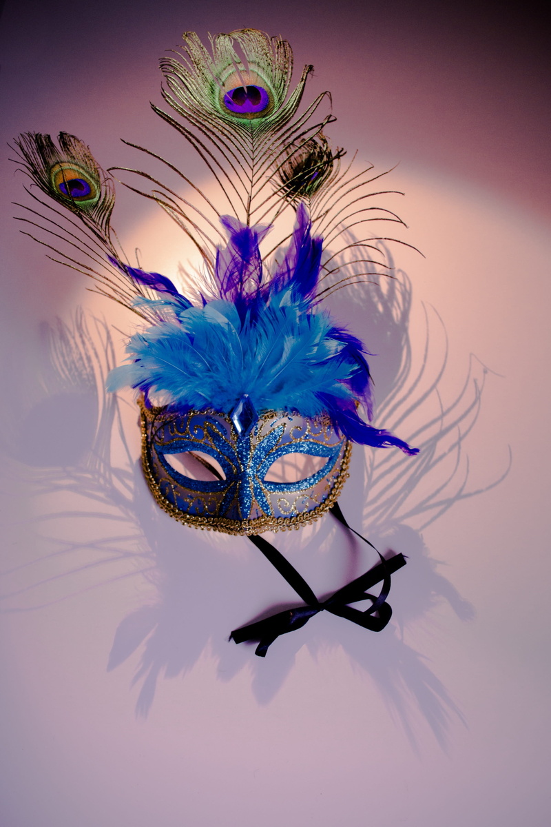 feather, nature, venetian, masque, festival, mask, italy, fancy, indoors, ornate, colorful, mask - disguise, carnival - celebration event, art and craft