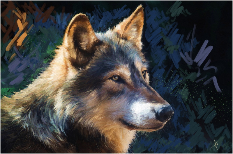 animals, painting, alberto, glance, head, art, guillen, 4K, wolves, artwork, pictorial, wolf