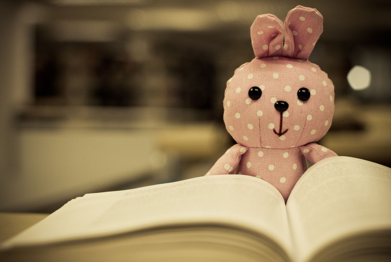 mood, book, toy, teedy, 2K, bokek