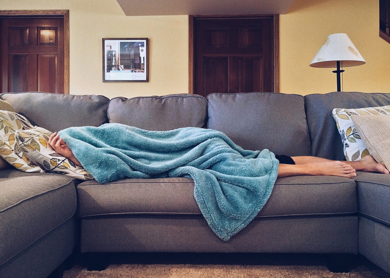 2K, seat, person, stuffed, home interior, room, luxury, interior design, carpet, bed, sofa, vertebrate, animal themes, doors, modern, furnitures, life