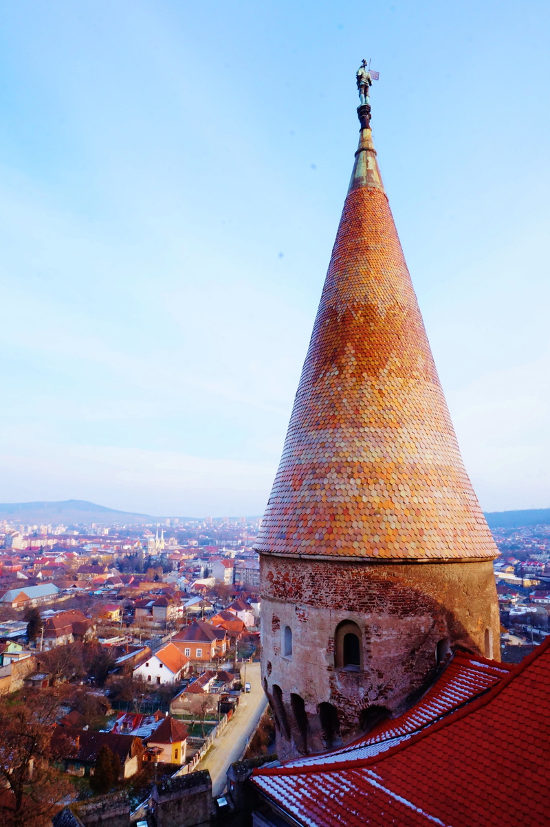 tradition, entrance, no people, travel destinations, hunedoara, tower, architecture, roof, built structure, nature, stronghold, history, day, building exterior