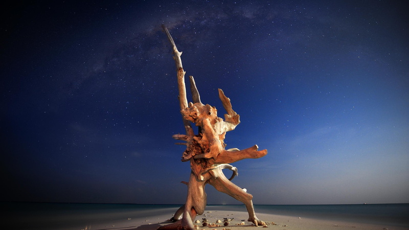 night, 2K, beautiful, creature, beaches, 3d and abstract
