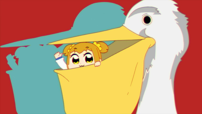 1080P, Anime, Popuko (Pop Team Epic), Pop Team Epic