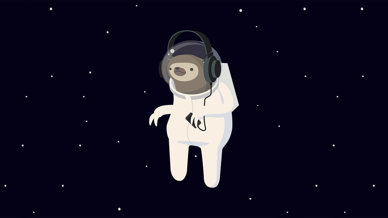 animals, 1080P, space, minimalism, sloths