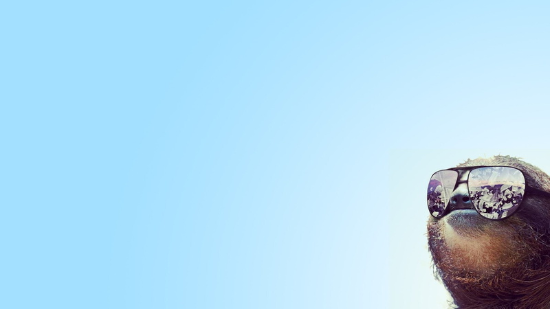 1080P, human representation, close-up, nature, representation, day, animals, blue, no people, sunglasses, clear sky, personal accessory, copy space, male likeness