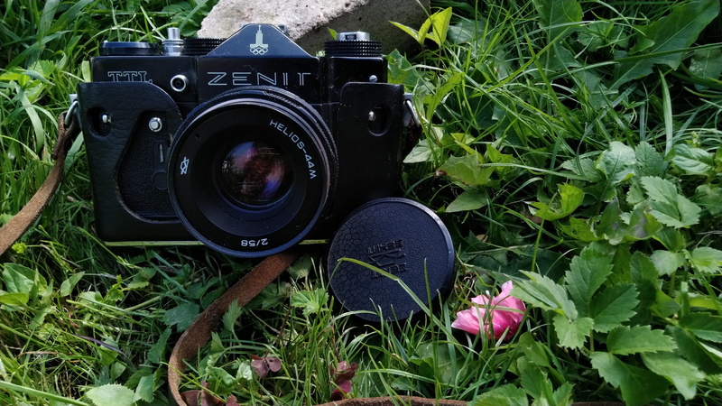 growth, vintage, plant part, outdoors, black color, digital single-lens reflex camera, zenith, man made object, photographic equipment, photographer, 4K